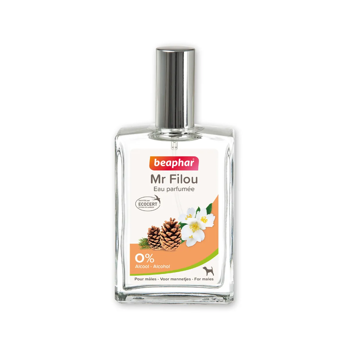 Parfum Mr Filou