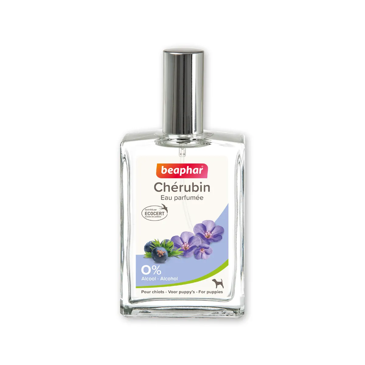 Parfum Cherubin