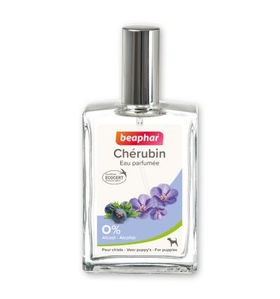 Parfum Cherubin