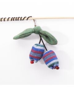 Canacat fruit exotique