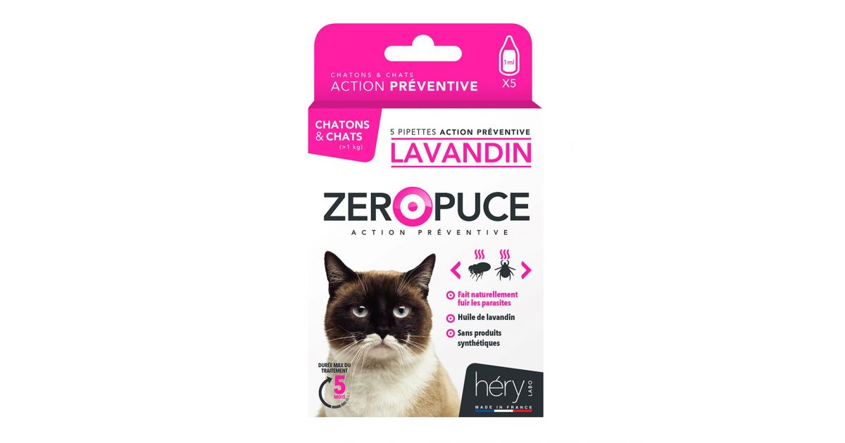 5 Pipettes Lavandes chaton / chat (préventives)