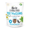 Brit - Dental Stick Teeth & Gum