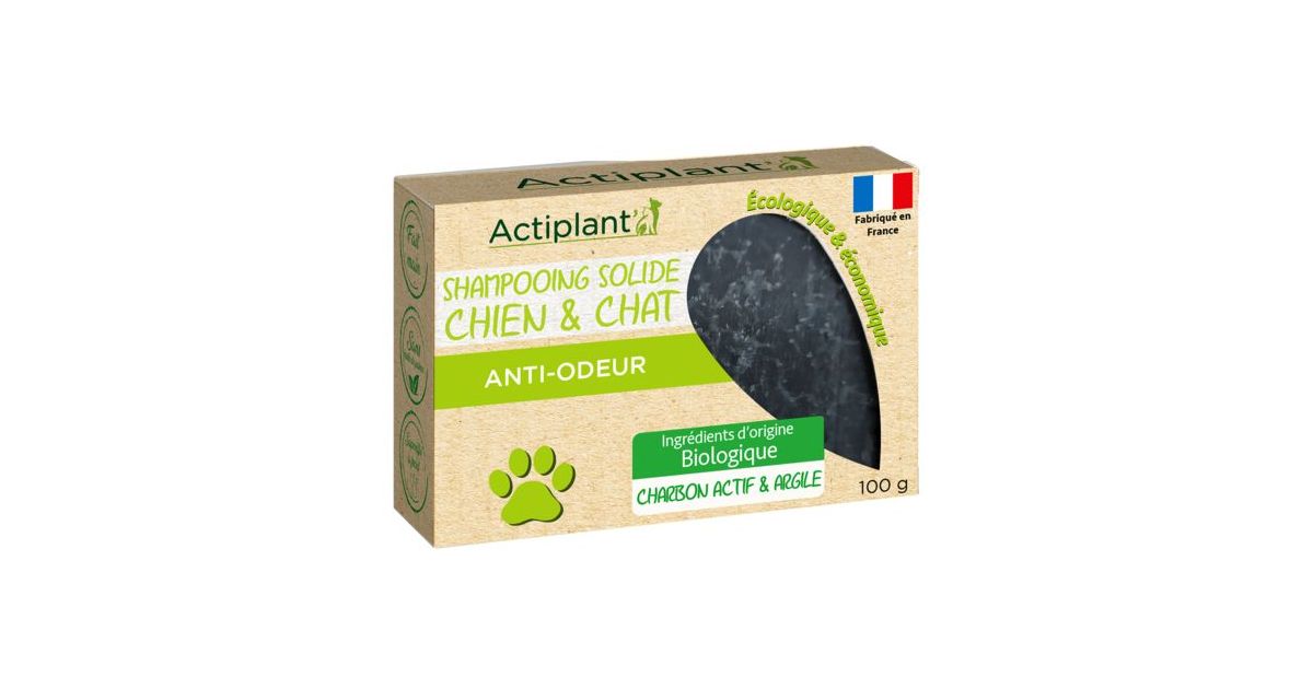 Actiplant - Shampoing solide anti-odeur