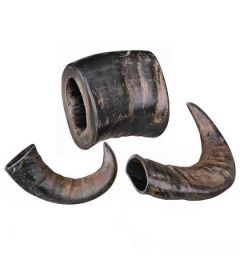 Corne de buffle pleine