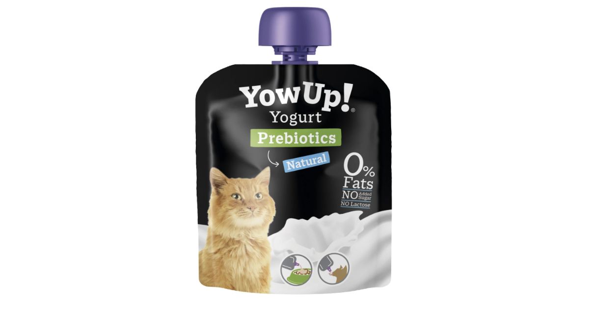 Yaourt pour chats 