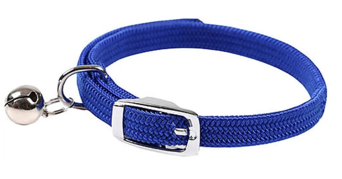 Collier Chat élastique MS