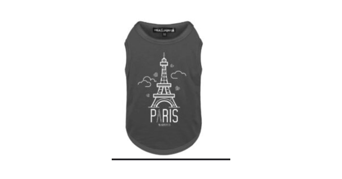 T-shirt Paris anthracite