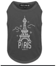 T-shirt Paris anthracite