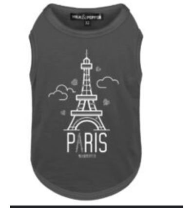T-shirt Paris anthracite