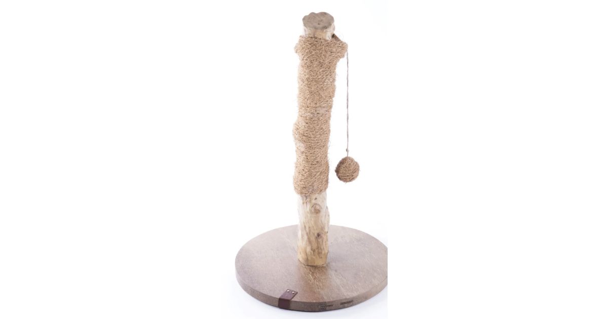 Griffoir Cafeier 62 cm