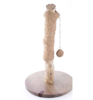 Griffoir Cafeier 62 cm