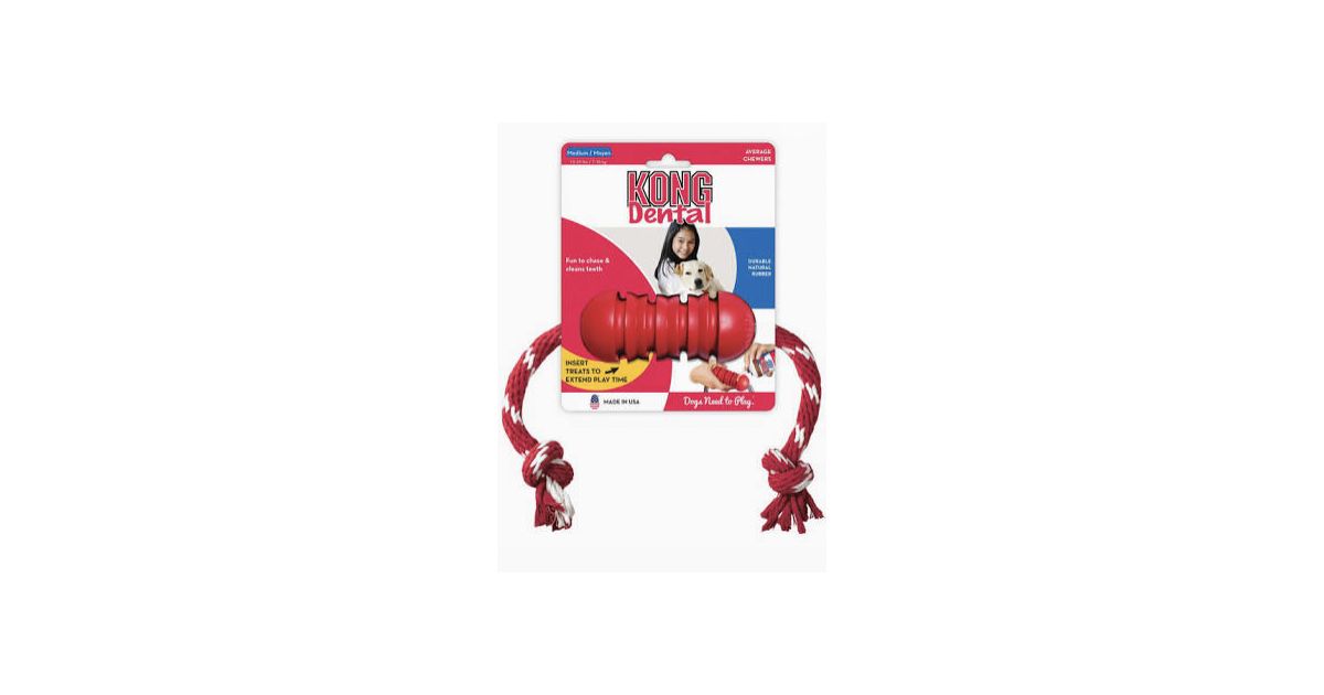 Kong - Dental with Rope