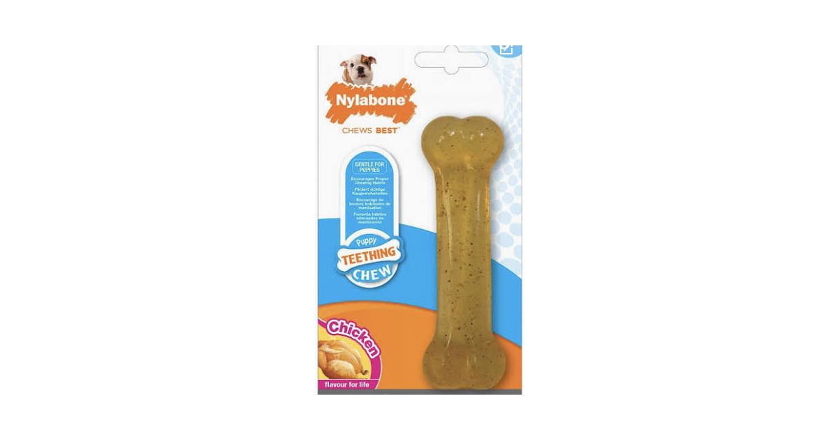 Nylabone - Moderate Chew - Chicken