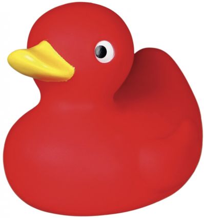 Canard en vinyl miss