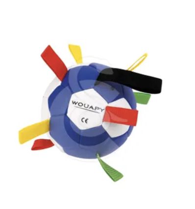 Fun Ball