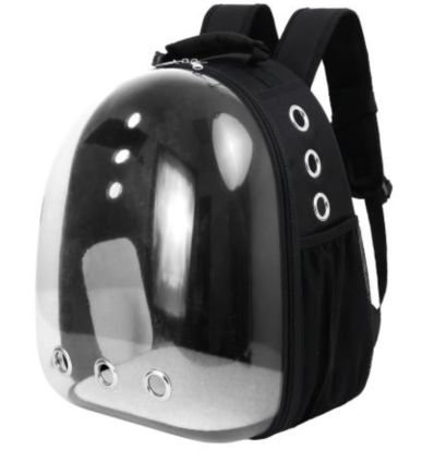 Sac à dos Transparent