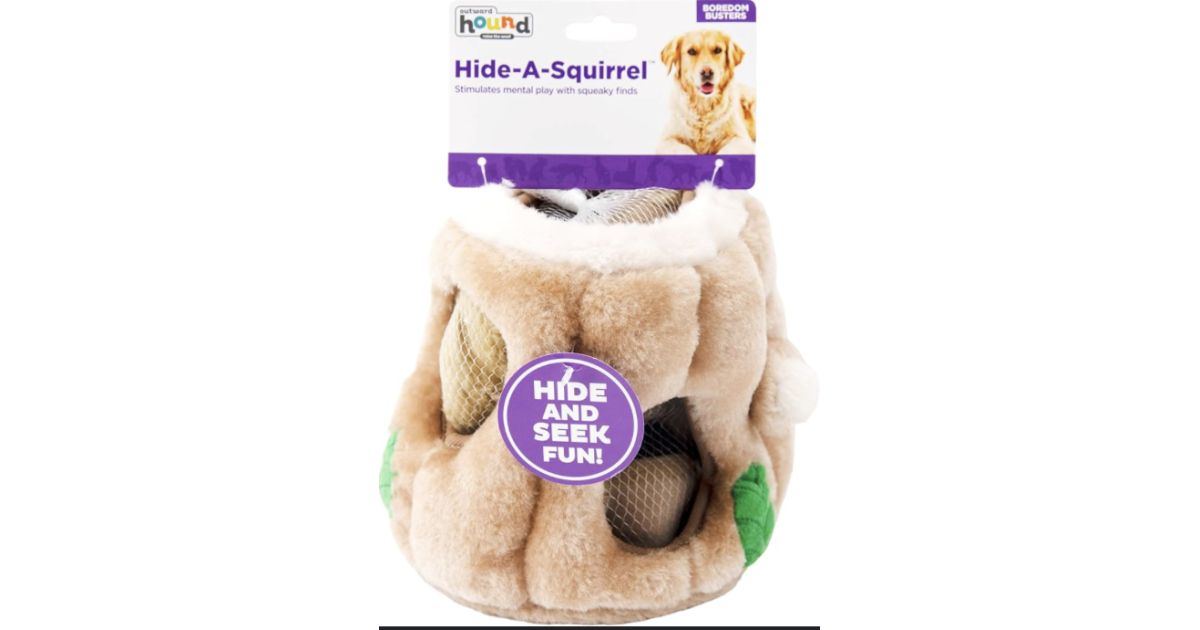 Hide-A-Squirrel
