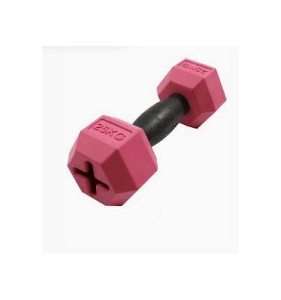 For the Gainz - Kettleball pour chiens