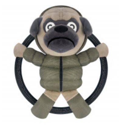 Pug