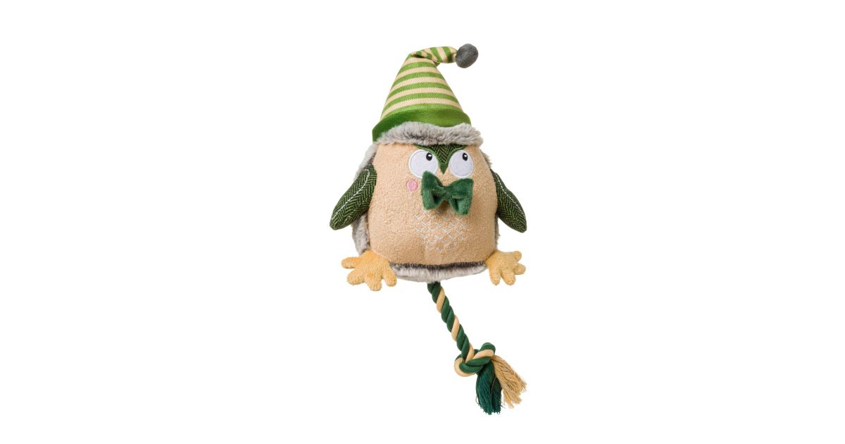 Forest green Owl
