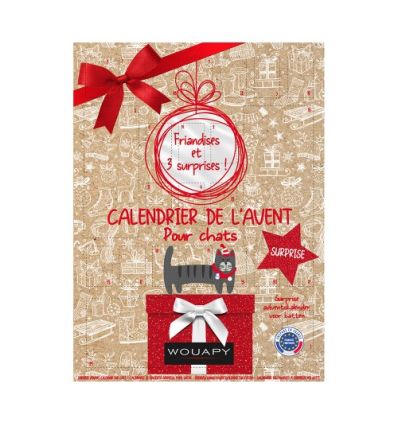 Calendrier de l'Avent suprise pour Chat