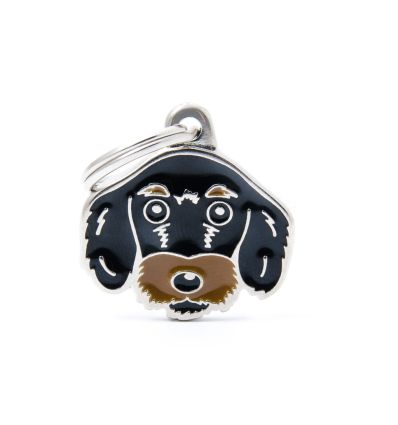Friends - Daschund