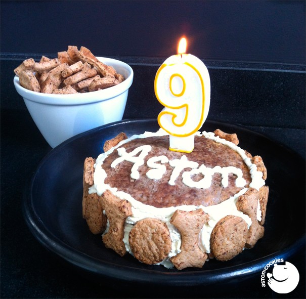 Preparez Un Gateau D Anniversaire A Votre Chien Twotails Fr