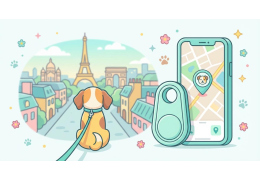 GPS chien : on a testé 6 traceurs pendant 3 mois (vrai avis)