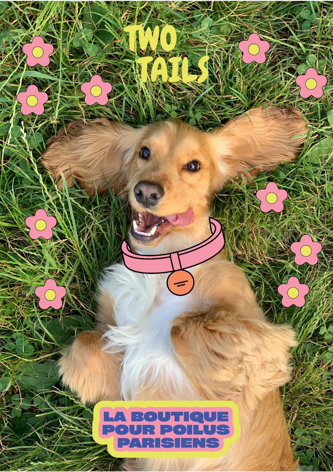 Golden Retriever Two Tails