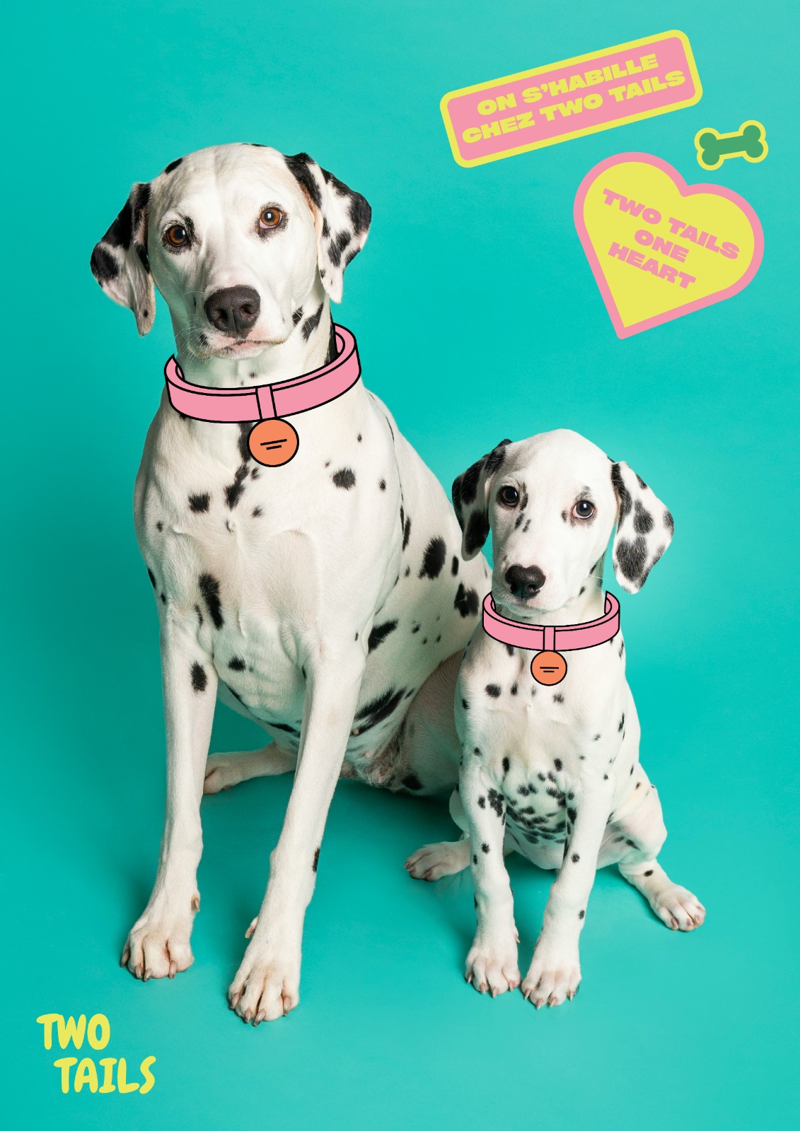Dalmatiens Two Tails