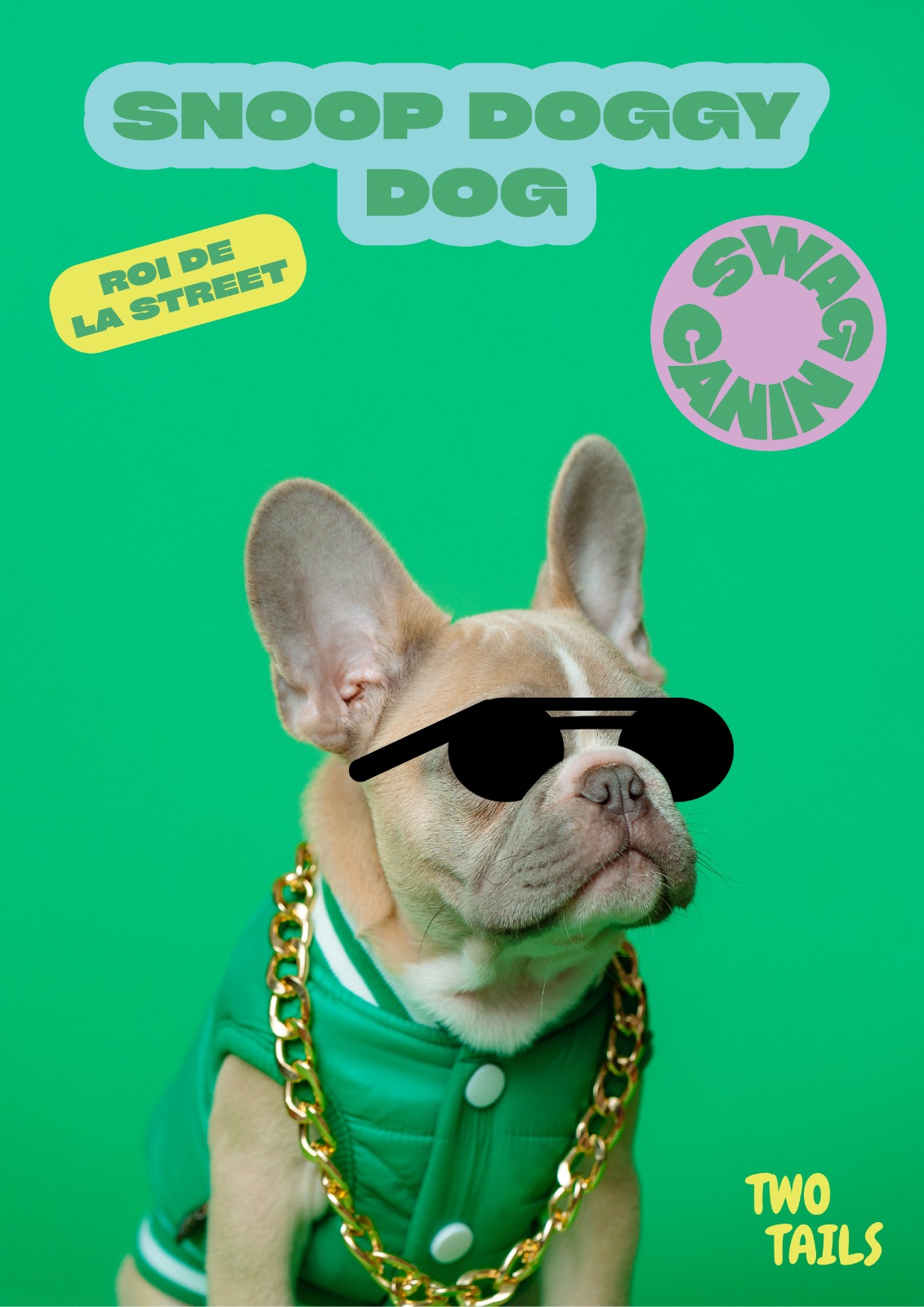 French Bulldog Snoop