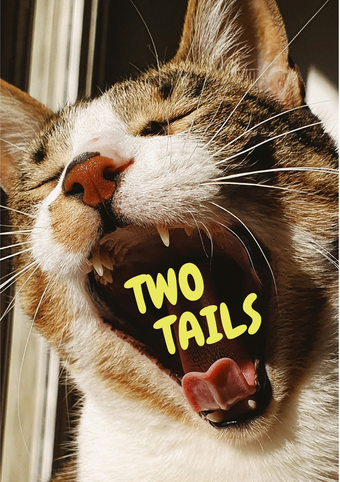 Chat Two Tails