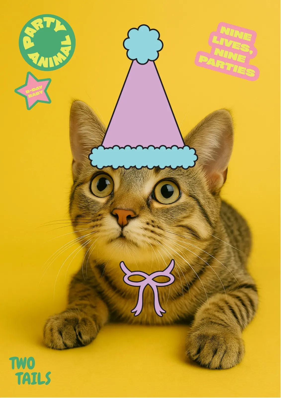 Chat Party Animal